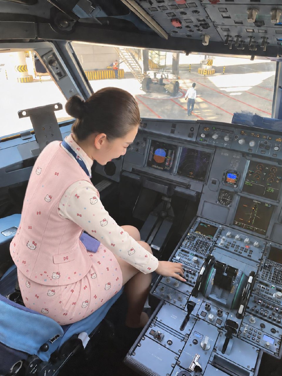 Flight Attendant